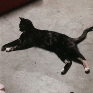 Meet your Posher, Jessica