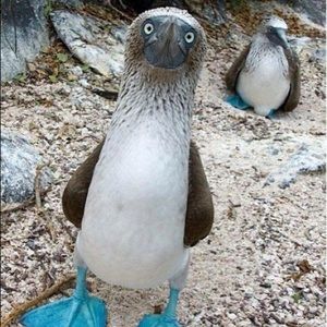 Meet your Posher, Bryan