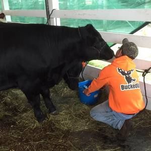 Meet your Posher, Patty