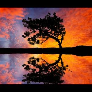 Meet your Posher, Tisha