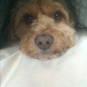 Meet your Posher, Aidan