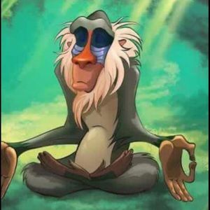 Meet your Posher, Ernesto