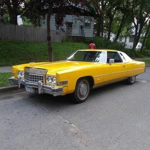 Meet your Posher, Onanza