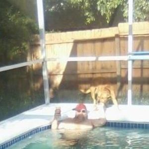 Meet your Posher, John