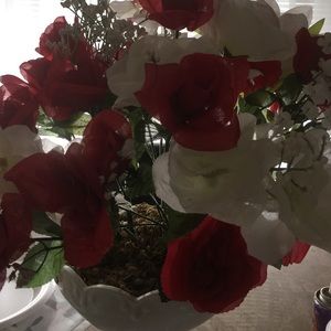 Meet your Posher, Viola