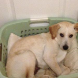 Meet your Posher, Jeff