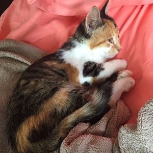 Meet your Posher, Amber