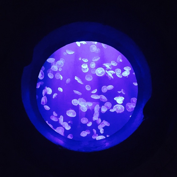 It’s time for closet cleaning! Send me an offer! - Picture 4 of 8