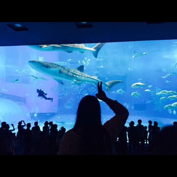 It’s time for closet cleaning! Send me an offer! - Picture 5 of 8