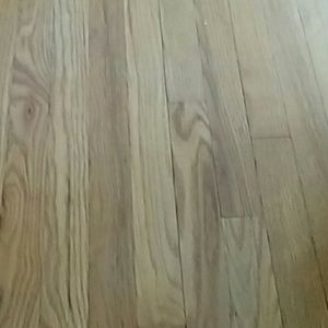 Meet your Posher, Edna