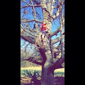 Meet your Posher, Angel