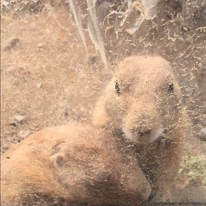 Meet your Posher, Jarod