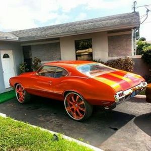 Meet your Posher, Shannon