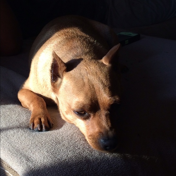 Meet your Posher, Drema - Picture 1 of 1