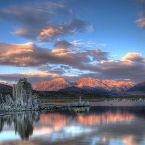 Meet your Posher, Darlene