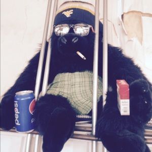 Meet your Posher, Samuel