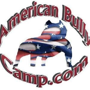 Meet your Posher, Pete