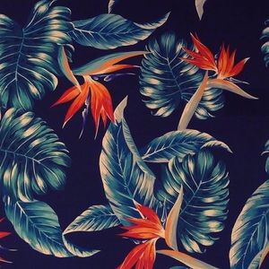 Meet your Posher, Brendan