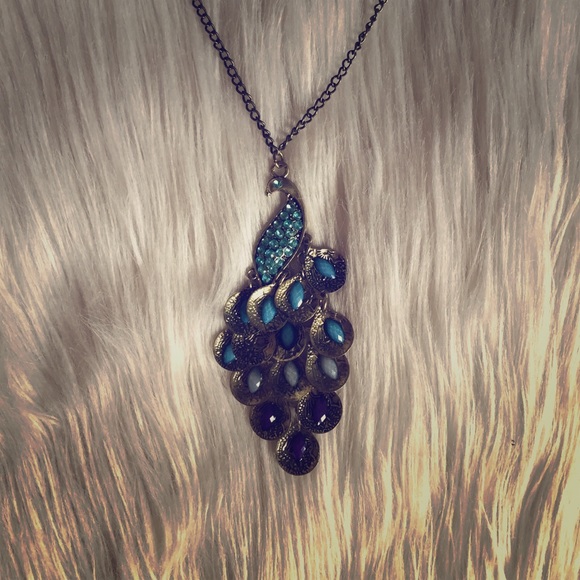 Peacock necklace! Never been worn