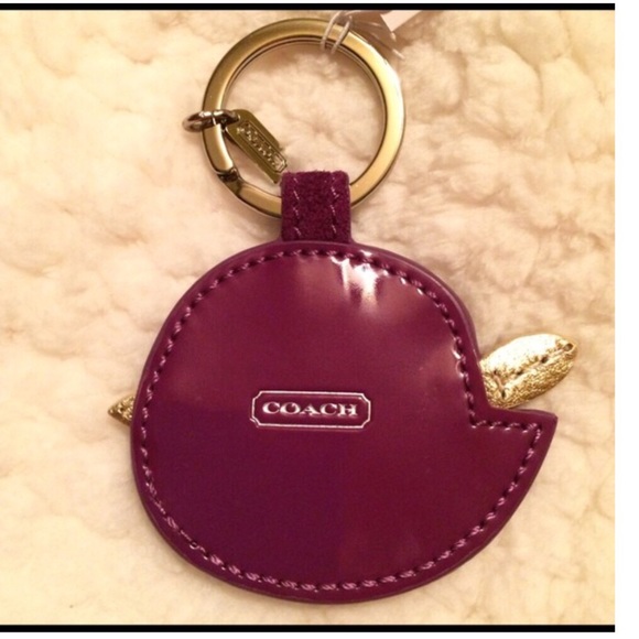 Here Birdie Birdie 📍 - Picture 2 of 2