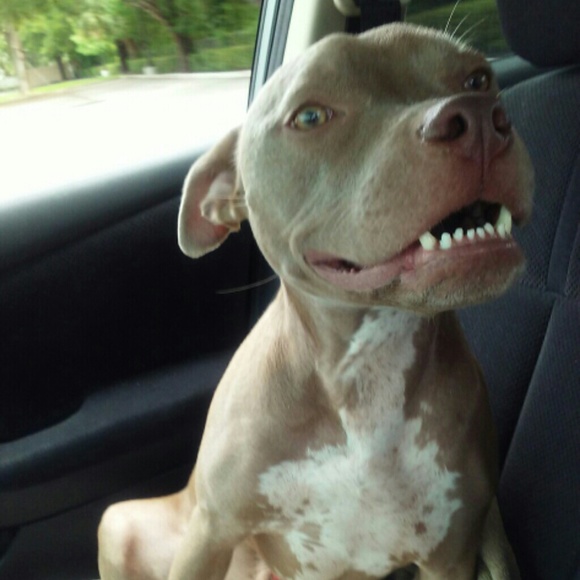 About Me! - Picture 3 of 4