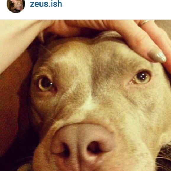 About Me! - Picture 4 of 4