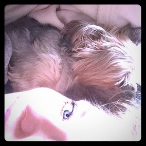 Meet your Posher, Janeille