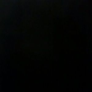 Meet your Posher, Maya