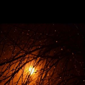 Meet your Posher, Janice