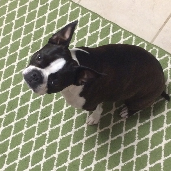 Meet your Posher, Emilie