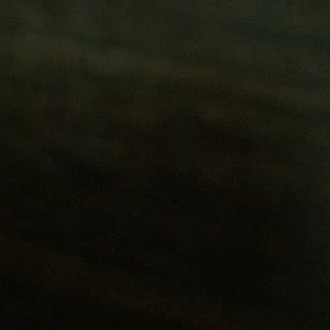 Meet your Posher, Cameron