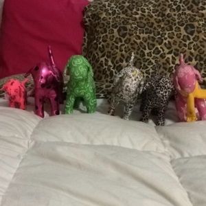 Victorias Secret Pink Dogs!