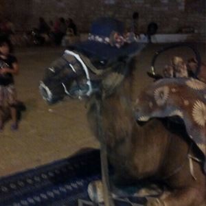 Meet your Posher, Queenasia