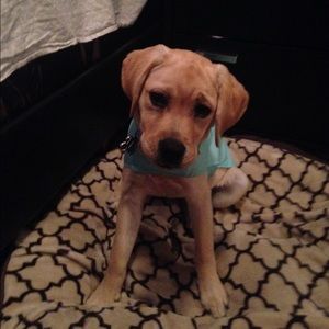 Meet your Posher, Michaela