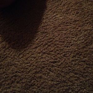 Meet your Posher, Janique