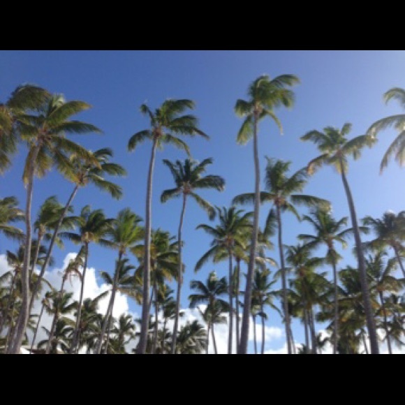 Meet your Posher, Choupi