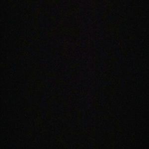 Meet your Posher, Dakota