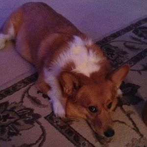 Meet your Posher, Denise