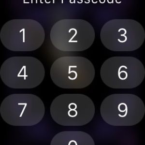 Meet your Posher, Casey