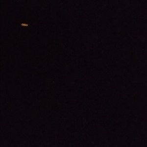 Meet your Posher, Kendrick