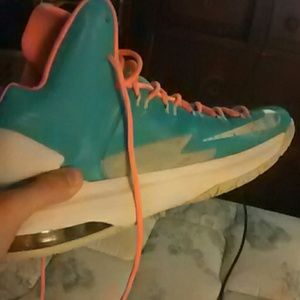 Kd5 Easters