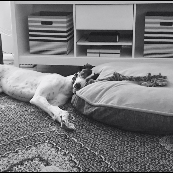 Meet your posher! Lauren 💕 - Picture 2 of 3