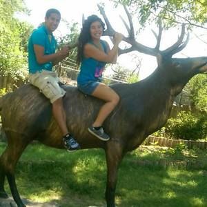 Meet your Posher, Priscilla