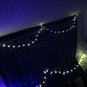 Meet your Posher, Cole