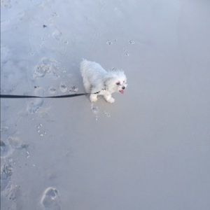 Meet your Posher, Jenifer