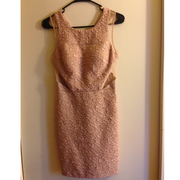 Nude Adrianna Papell Dress