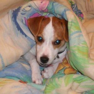 Meet your Posher, Anne