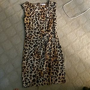 Barely worn Calvin Klein Cheetah Print Dress