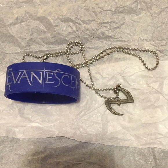 Trade bundle of 2 Evanescence band tshirts - Picture 3 of 4