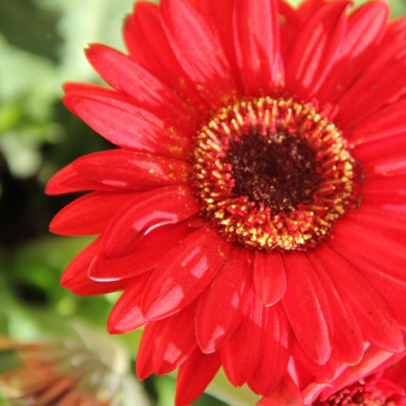 Meet your Posher, Erin